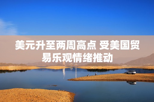 美元升至两周高点 受美国贸易乐观情绪推动