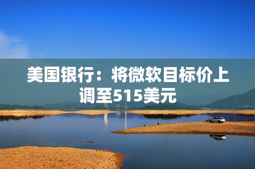 美国银行：将微软目标价上调至515美元