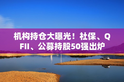 机构持仓大曝光！社保、QFII、公募持股50强出炉