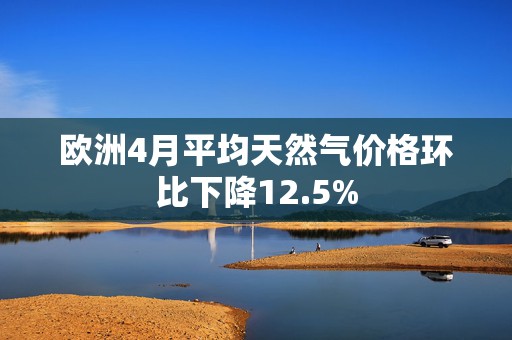 欧洲4月平均天然气价格环比下降12.5%