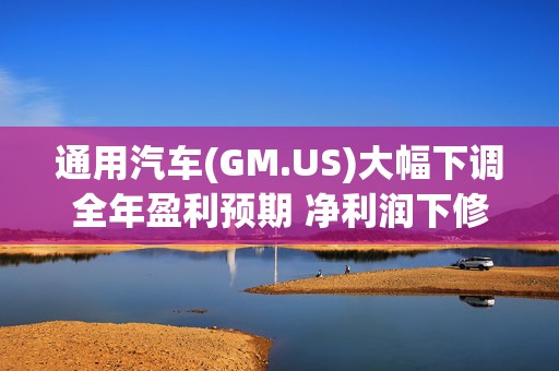 通用汽车(GM.US)大幅下调全年盈利预期 净利润下修至82亿-101亿美元