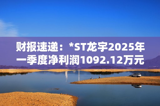 财报速递：*ST龙宇2025年一季度净利润1092.12万元