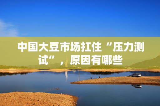 中国大豆市场扛住“压力测试”，原因有哪些