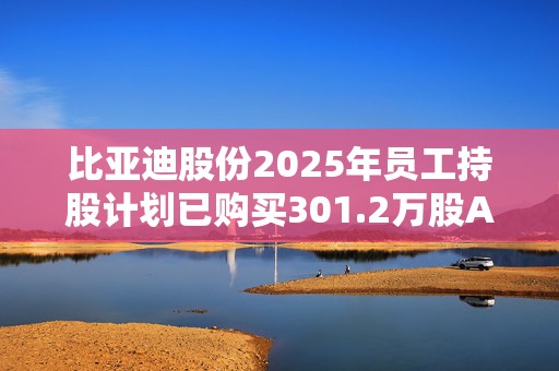 比亚迪股份2025年员工持股计划已购买301.2万股A股