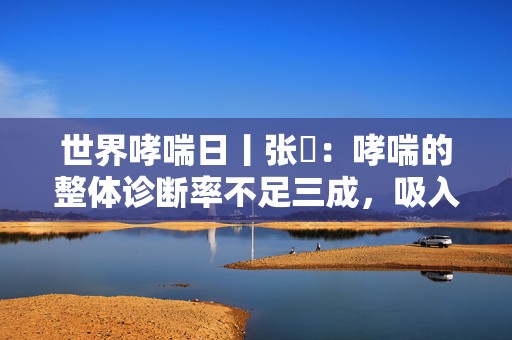 世界哮喘日丨张旻：哮喘的整体诊断率不足三成，吸入治疗是重要治疗手段