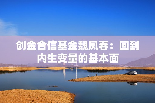 创金合信基金魏凤春：回到内生变量的基本面