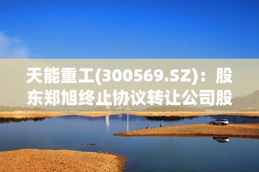 天能重工(300569.SZ)：股东郑旭终止协议转让公司股份