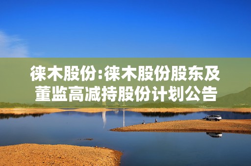 徕木股份:徕木股份股东及董监高减持股份计划公告