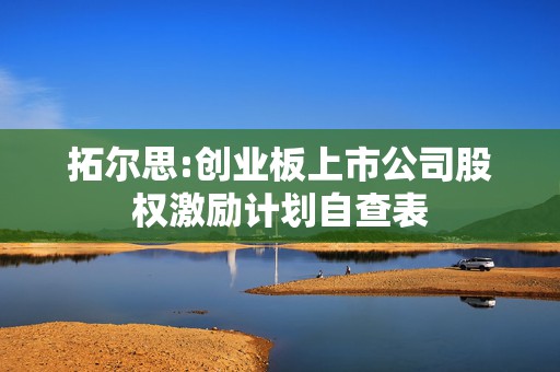 拓尔思:创业板上市公司股权激励计划自查表