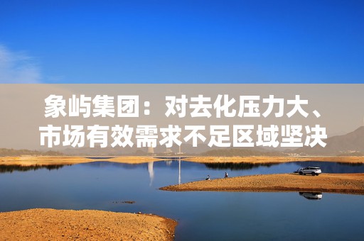 象屿集团：对去化压力大、市场有效需求不足区域坚决暂停投资，打造多元上市路径