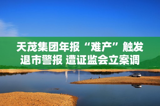 天茂集团年报“难产”触发退市警报 遭证监会立案调查
