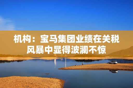 机构：宝马集团业绩在关税风暴中显得波澜不惊
