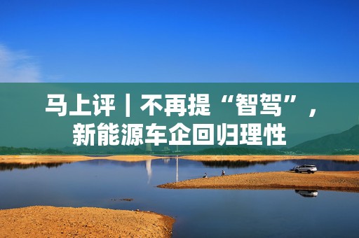 马上评｜不再提“智驾”，新能源车企回归理性
