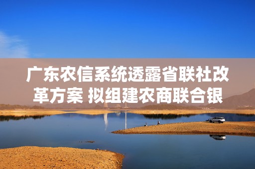 广东农信系统透露省联社改革方案 拟组建农商联合银行