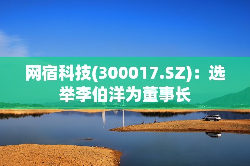 网宿科技(300017.SZ)：选举李伯洋为董事长