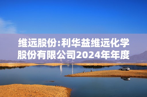 维远股份:利华益维远化学股份有限公司2024年年度股东大会决议公告