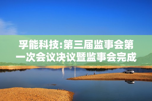 孚能科技:第三届监事会第一次会议决议暨监事会完成换届选举及选举监事会主席的公告  第1张