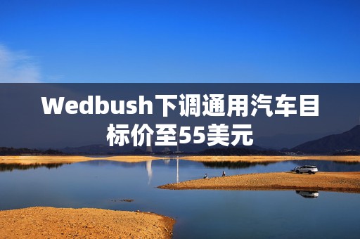 Wedbush下调通用汽车目标价至55美元