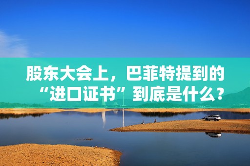 股东大会上，巴菲特提到的“进口证书”到底是什么？