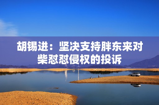 胡锡进：坚决支持胖东来对柴怼怼侵权的投诉