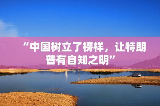 “中国树立了榜样，让特朗普有自知之明”