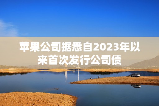 苹果公司据悉自2023年以来首次发行公司债