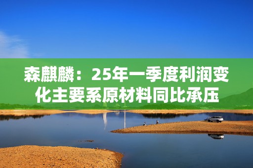 森麒麟：25年一季度利润变化主要系原材料同比承压