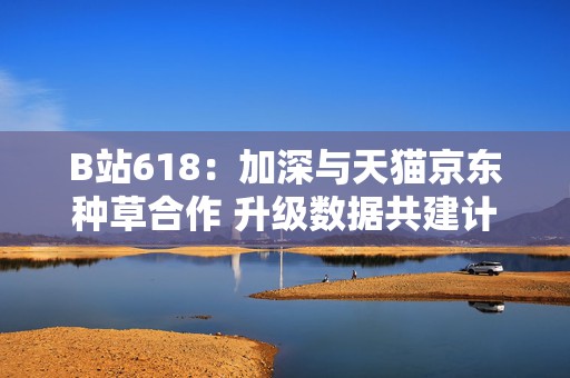 B站618：加深与天猫京东种草合作 升级数据共建计划