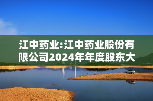 江中药业:江中药业股份有限公司2024年年度股东大会会议材料