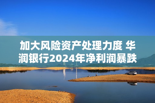 加大风险资产处理力度 华润银行2024年净利润暴跌近七成