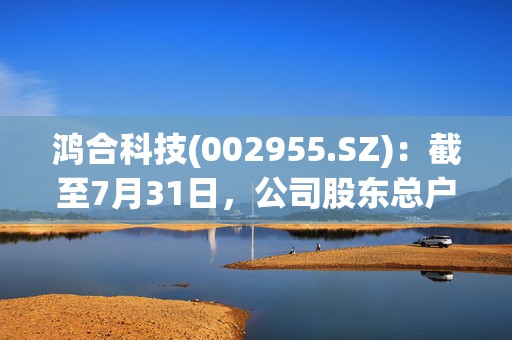鸿合科技(002955.SZ)：截至7月31日，公司股东总户数为15728户