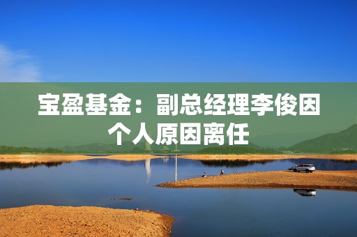 宝盈基金：副总经理李俊因个人原因离任