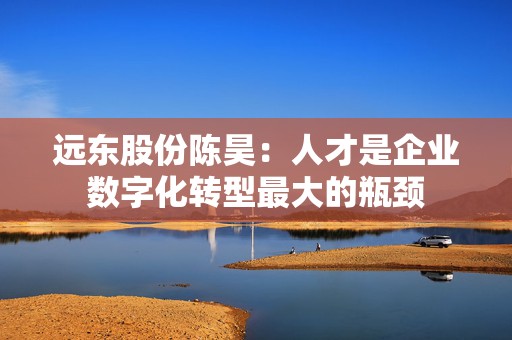 远东股份陈昊：人才是企业数字化转型最大的瓶颈