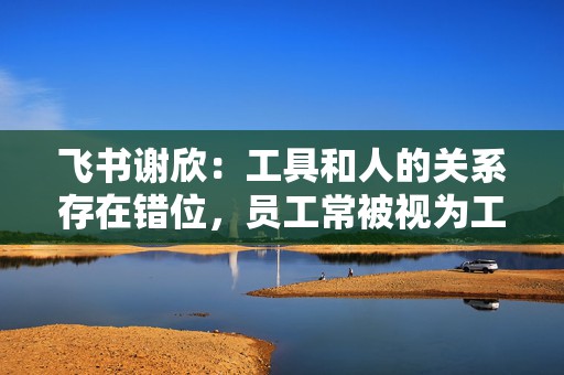 飞书谢欣：工具和人的关系存在错位，员工常被视为工具的附属