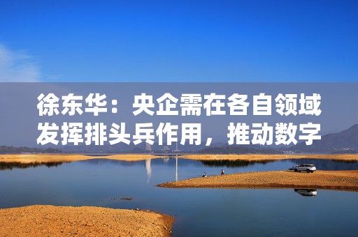 徐东华：央企需在各自领域发挥排头兵作用，推动数字化转型