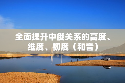 全面提升中俄关系的高度、维度、韧度（和音）