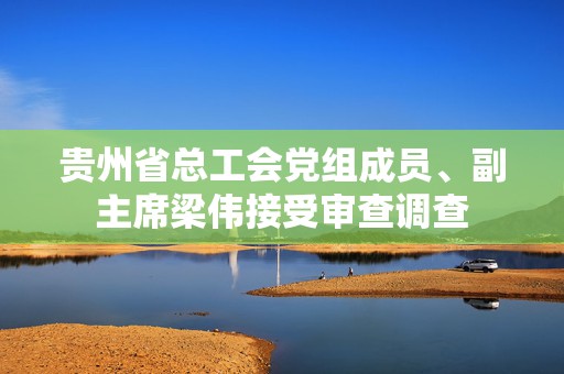 贵州省总工会党组成员、副主席梁伟接受审查调查