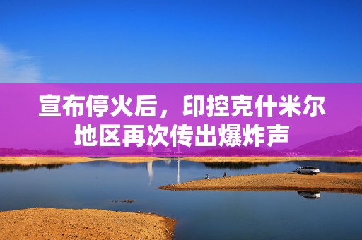 宣布停火后，印控克什米尔地区再次传出爆炸声