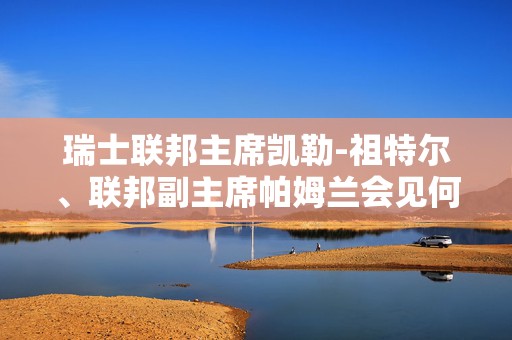 瑞士联邦主席凯勒-祖特尔、联邦副主席帕姆兰会见何立峰