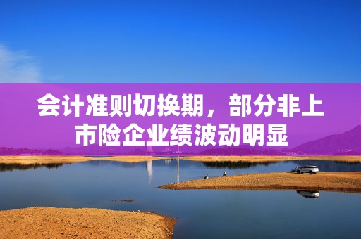 会计准则切换期，部分非上市险企业绩波动明显