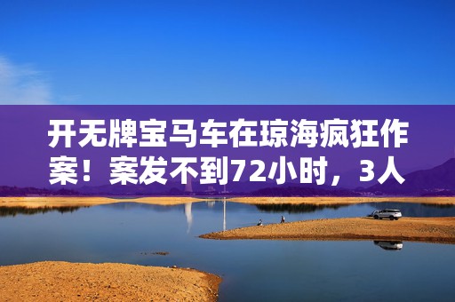 开无牌宝马车在琼海疯狂作案！案发不到72小时，3人落网