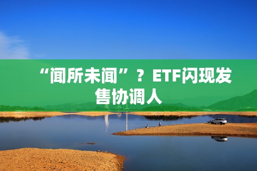 “闻所未闻”？ETF闪现发售协调人