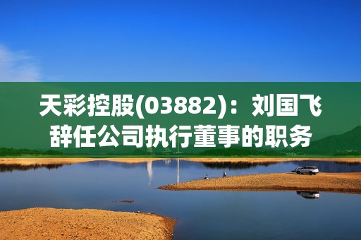 天彩控股(03882)：刘国飞辞任公司执行董事的职务