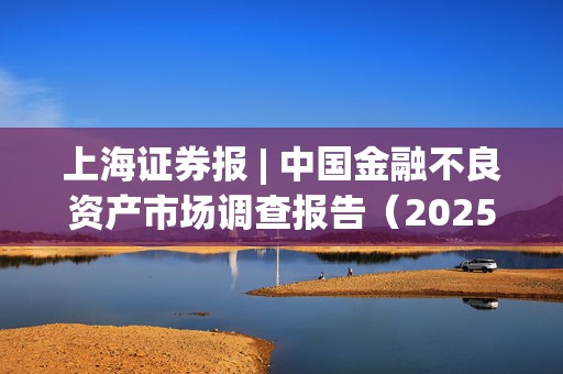 上海证券报 | 中国金融不良资产市场调查报告（2025）：不良资产市场总量稳中有增、结构持续调整