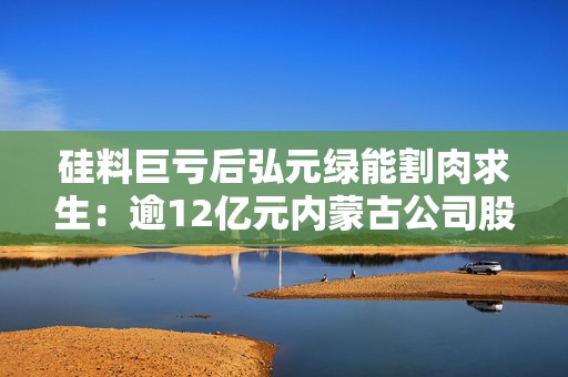 硅料巨亏后弘元绿能割肉求生：逾12亿元内蒙古公司股权转让协鑫