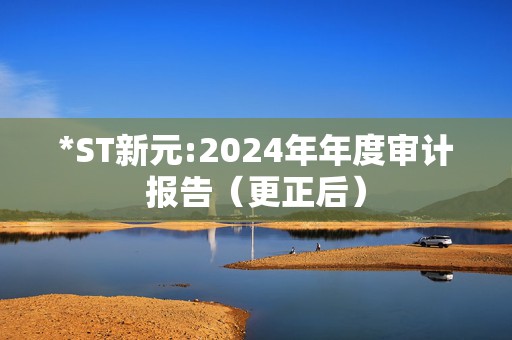 *ST新元:2024年年度审计报告（更正后）