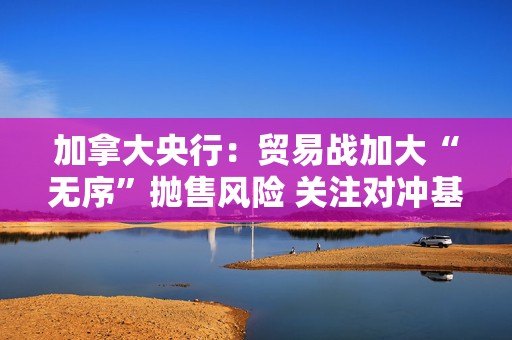 加拿大央行：贸易战加大“无序”抛售风险 关注对冲基金杠杆问题