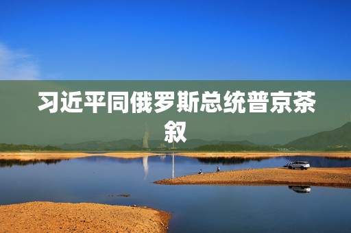 习近平同俄罗斯总统普京茶叙