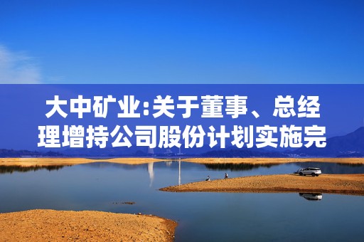 大中矿业:关于董事、总经理增持公司股份计划实施完成的公告