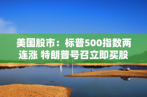 美国股市：标普500指数两连涨 特朗普号召立即买股票